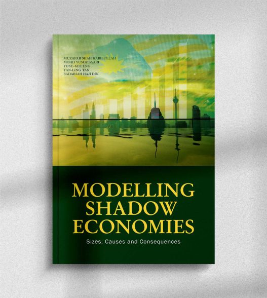 Modelling Shadow Economies: Sizes, Causes and Consequences